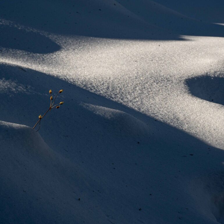 Minimalism-1 Dibyendu Dutta