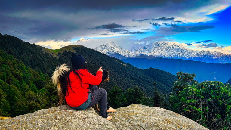 Dog in the Mountains